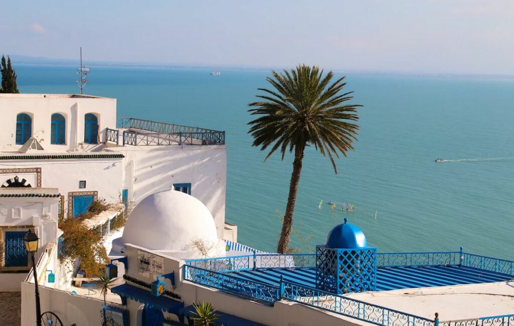 toits bleus tunisie