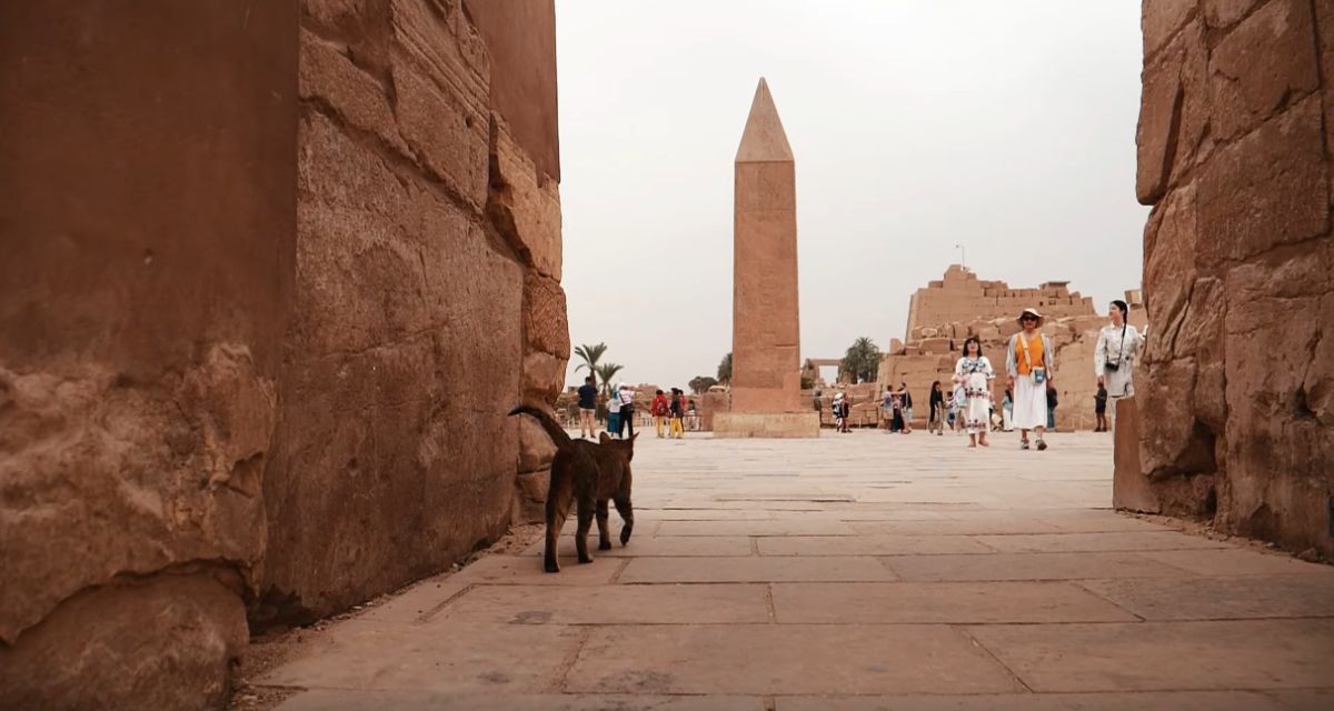 Égypte en Octobre